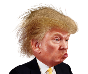 דונלד טראמפ